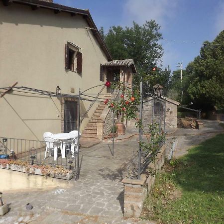 La Casetta Dei Gelsi Civitella d'Agliano Bagian luar foto